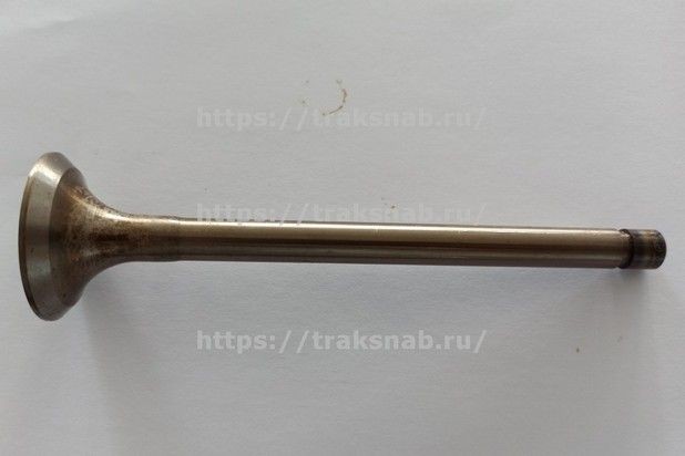 Клапан выпускной (малый) Д-240 оригинал — 1