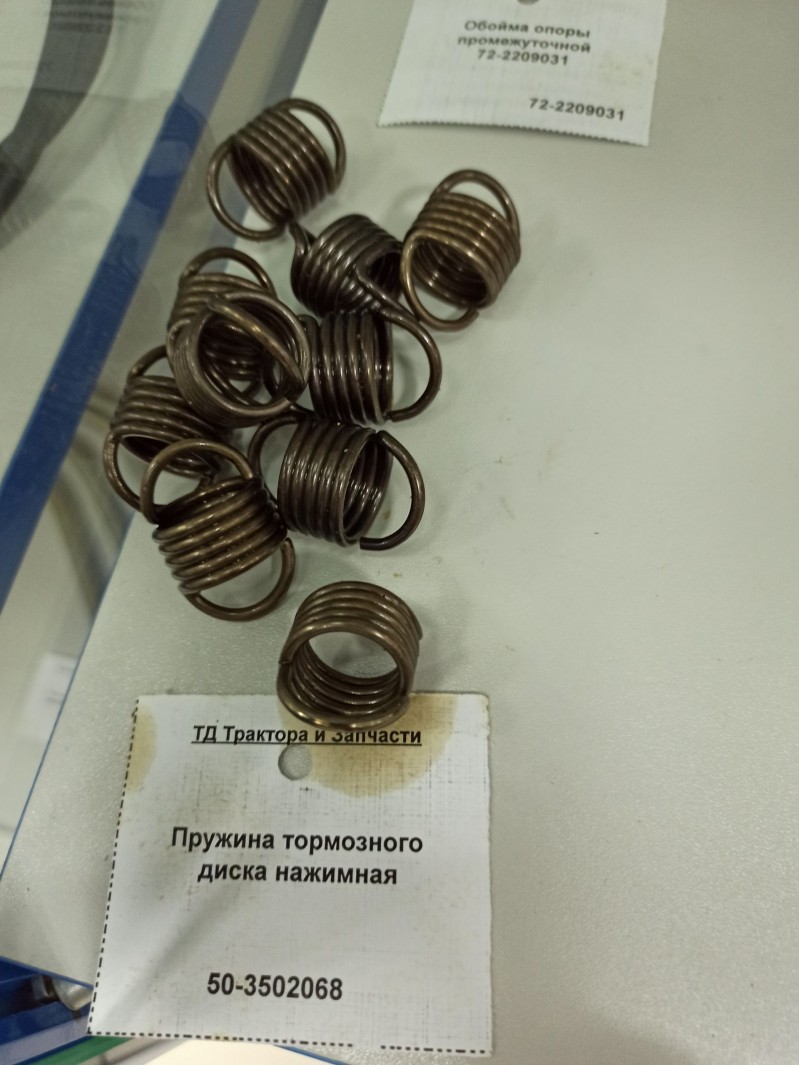 Пружина тормозного диска нажимная — 1